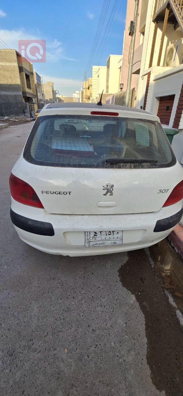 بیجۆ 307
